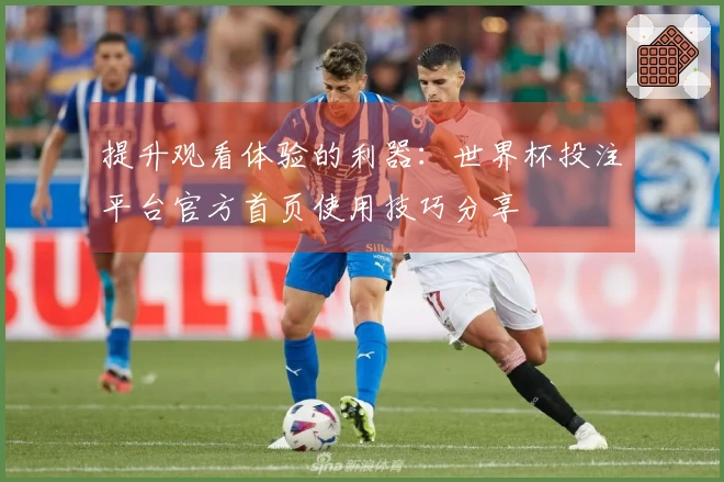 提升观看体验的利器：世界杯投注平台官方首页使用技巧分享