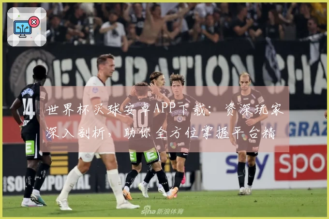 世界杯买球安卓APP下载：资深玩家深入剖析，助你全方位掌握平台精彩体验