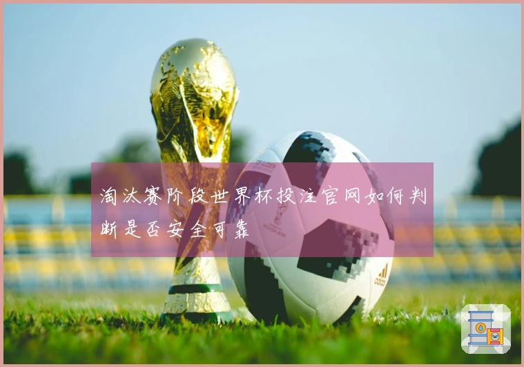 淘汰赛阶段世界杯投注官网如何判断是否安全可靠