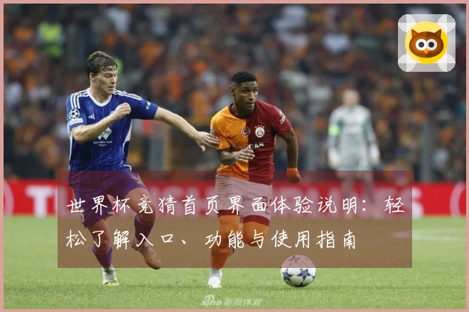 世界杯竞猜首页界面体验说明：轻松了解入口、功能与使用指南