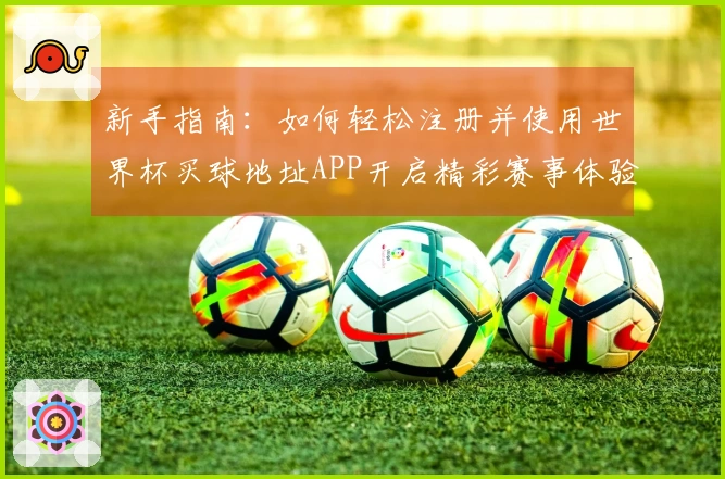 新手指南：如何轻松注册并使用世界杯买球地址APP开启精彩赛事体验