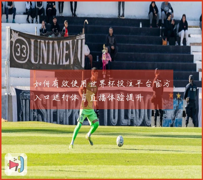 如何有效使用世界杯投注平台官方入口进行体育直播体验提升