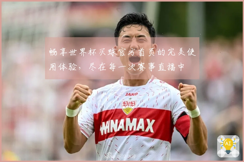 畅享世界杯买球官方首页的完美使用体验，尽在每一次赛事直播中