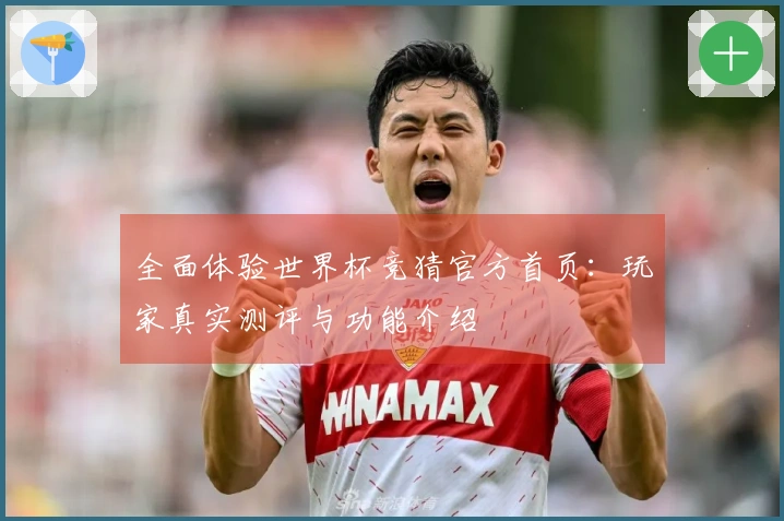 全面体验世界杯竞猜官方首页：玩家真实测评与功能介绍