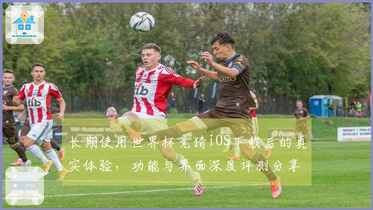 长期使用世界杯竞猜iOS下载后的真实体验，功能与界面深度评测分享