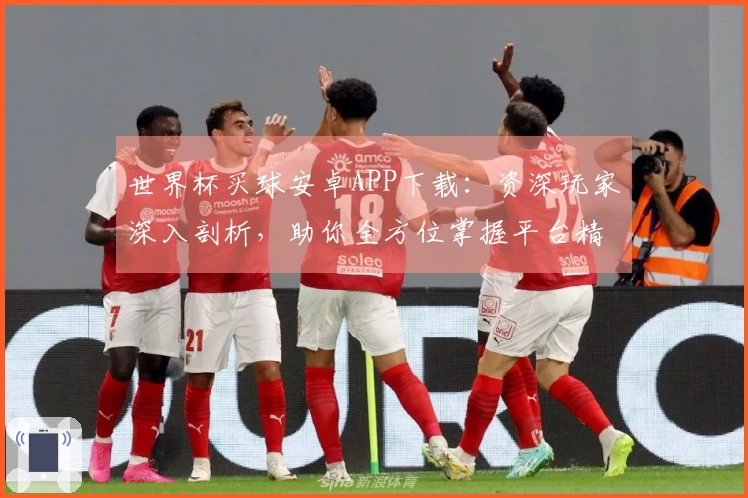 世界杯买球安卓APP下载：资深玩家深入剖析，助你全方位掌握平台精彩体验