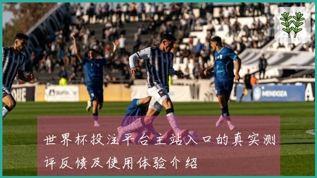 世界杯投注平台主站入口的真实测评反馈及使用体验介绍