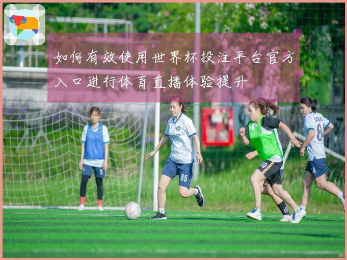 如何有效使用世界杯投注平台官方入口进行体育直播体验提升